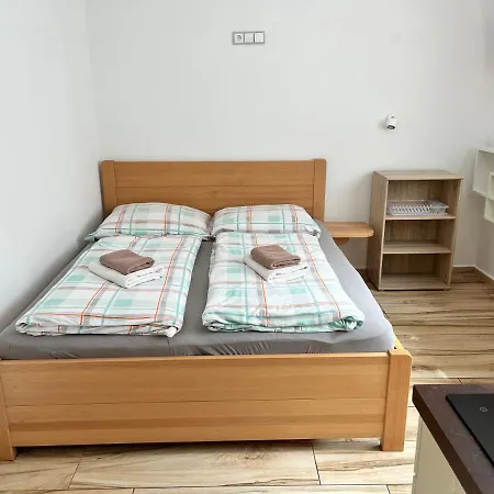 Apartment Sumavska *