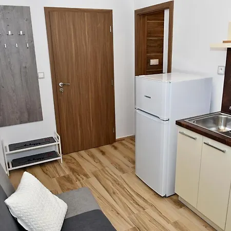 Sumavska Apartment